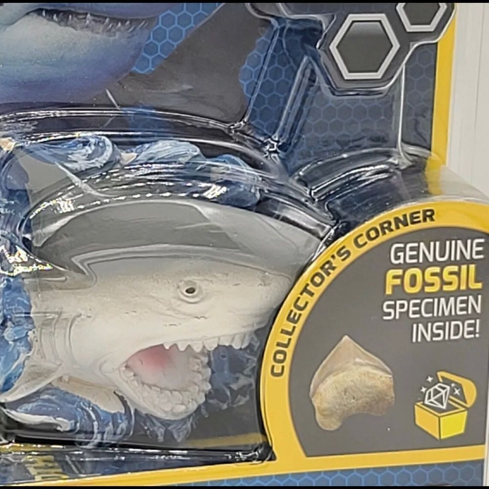 National Geographic 🦈Shark Tooth 🦷 Mini Dig Kit - Picture 4 of 6